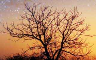 APP线上拉新推广一手渠道，app拉新推广怎么赚钱