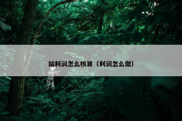 站利润怎么核算（利润怎么做）