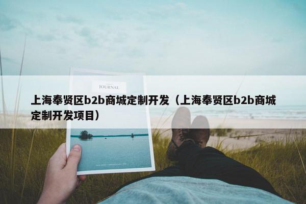 上海奉贤区b2b商城定制开发（上海奉贤区b2b商城定制开发项目）