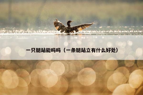 一只腿站能吗吗（一条腿站立有什么好处）