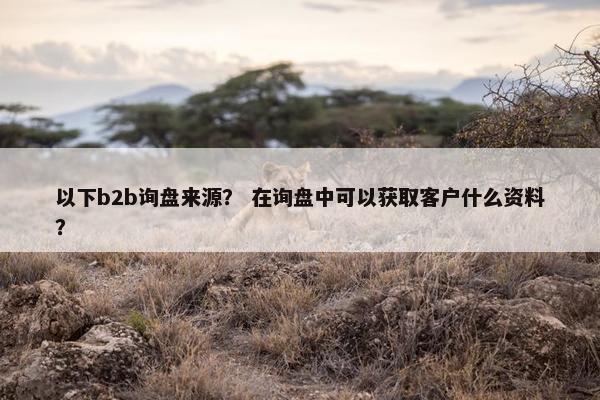 以下b2b询盘来源? 在询盘中可以获取客户什么资料? 以下b2b询盘来源? 在询盘中可以获取客户什么资料?