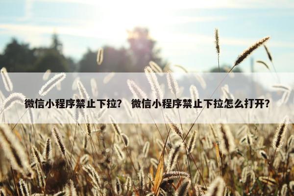 微信小程序禁止下拉？ 微信小程序禁止下拉怎么打开？