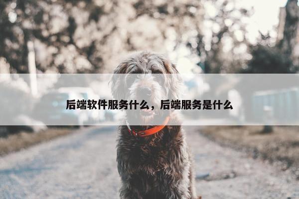 后端软件服务什么，后端服务是什么