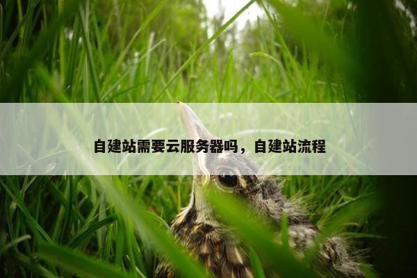 自建站需要云服务器吗，自建站流程