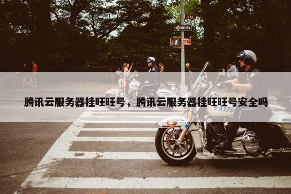 腾讯云服务器挂旺旺号，腾讯云服务器挂旺旺号安全吗