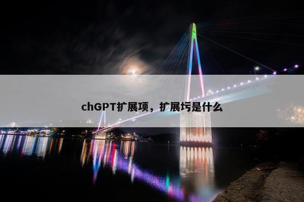 chGPT扩展项，扩展圬是什么
