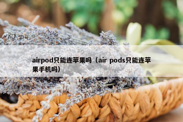 airpod只能连苹果吗（air pods只能连苹果手机吗）