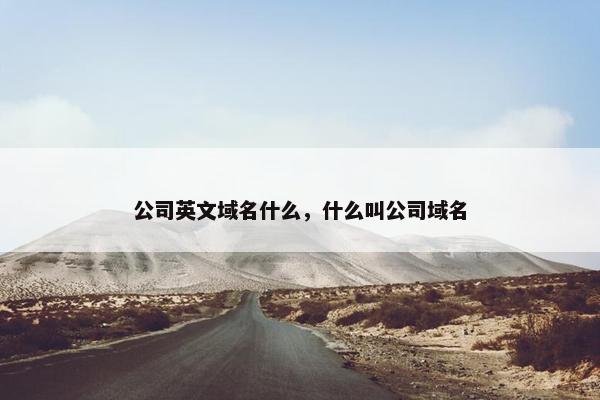 公司英文域名什么,什么叫公司域名 公司英文域名什么,什么叫公司域名
