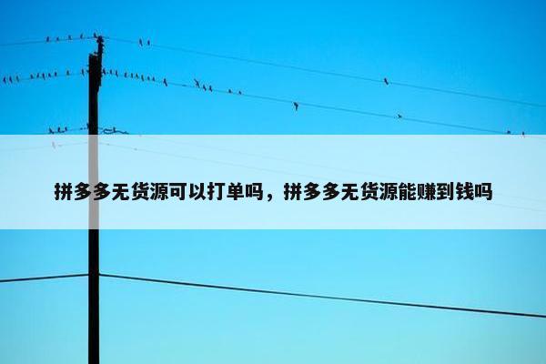 拼多多无货源可以打单吗，拼多多无货源能赚到钱吗