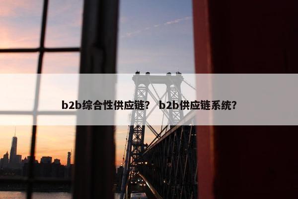 b2b综合性供应链？ b2b供应链系统？