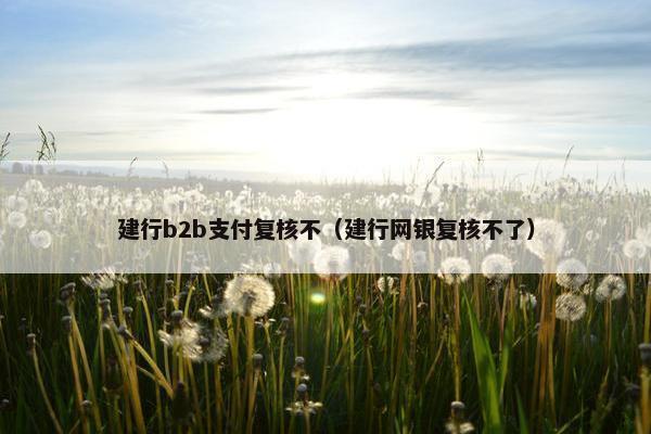 建行b2b支付复核不（建行网银复核不了）