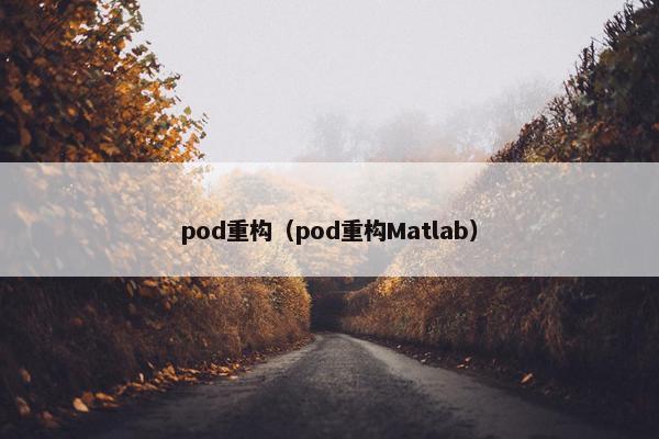 pod重构（pod重构Matlab）
