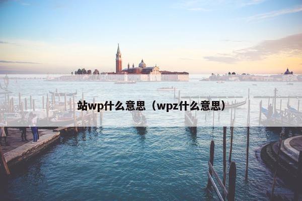 站wp什么意思(wpz什么意思)