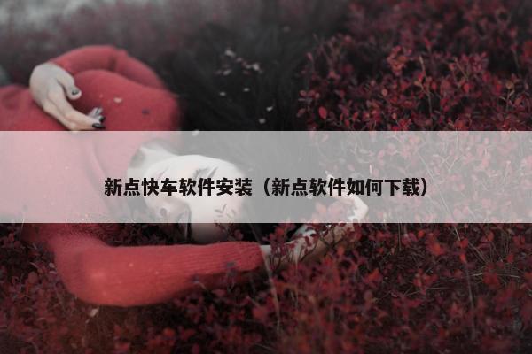 新点快车软件安装（新点软件如何下载）