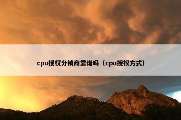 cpu授权分销商靠谱吗（cpu授权方式）