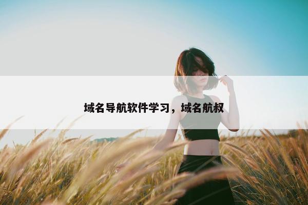 域名导航软件学习，域名航叔