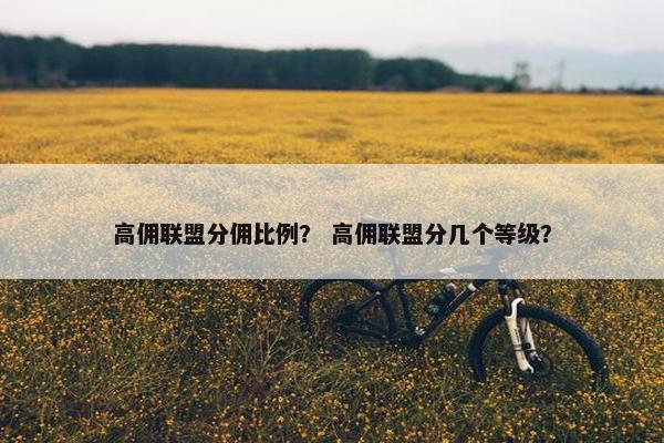 高佣联盟分佣比例？ 高佣联盟分几个等级？
