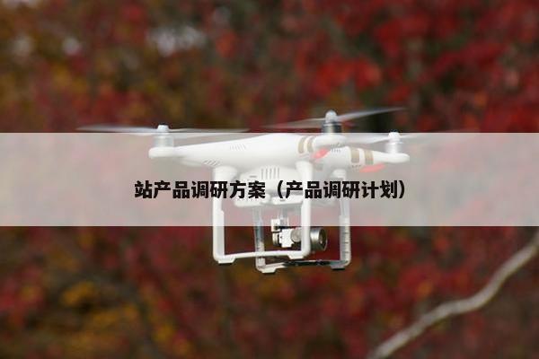 站产品调研方案（产品调研计划）