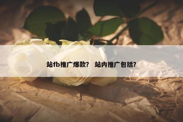 站fb推广爆款？ 站内推广包括？