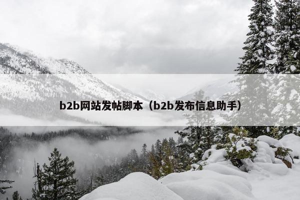 b2b网站发帖脚本（b2b发布信息助手）