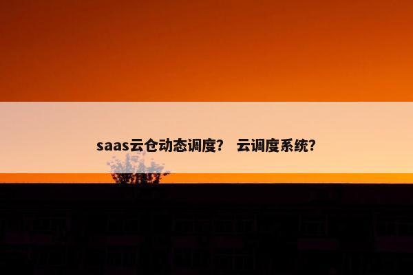 saas云仓动态调度? 云调度系统? saas云仓动态调度? 云调度系统?
