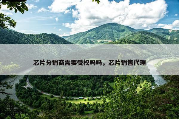 芯片分销商需要受权吗吗，芯片销售代理