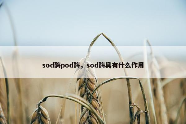 sod酶pod酶，sod酶具有什么作用