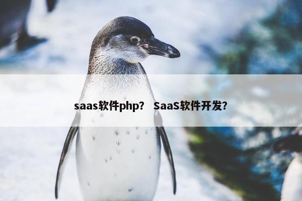 saas软件php？ SaaS软件开发？