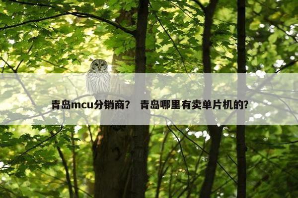 青岛mcu分销商？ 青岛哪里有卖单片机的？