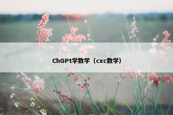ChGPt学数学（cxc数学）