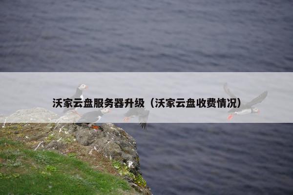 沃家云盘服务器升级（沃家云盘收费情况）