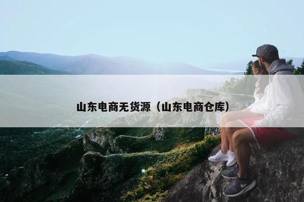 山东电商无货源（山东电商仓库）