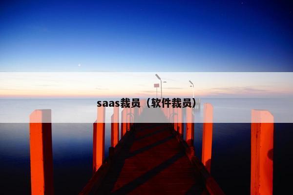 saas裁员（软件裁员）