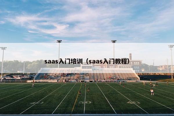 saas入门培训（saas入门教程）