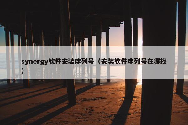 synergy软件安装序列号（安装软件序列号在哪找）