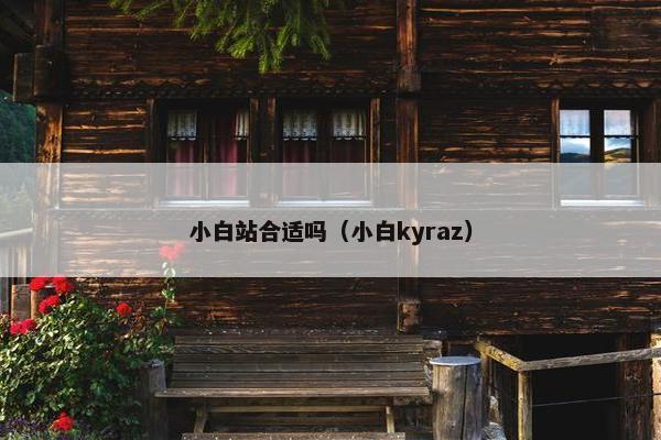 小白站合适吗（小白kyraz）