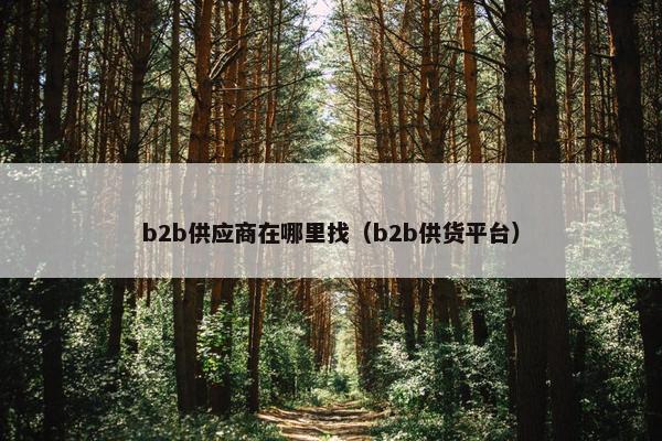 b2b供应商在哪里找（b2b供货平台）