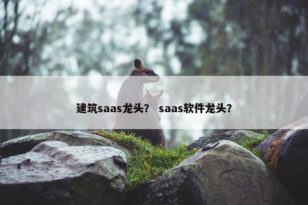 建筑saas龙头？ saas软件龙头？