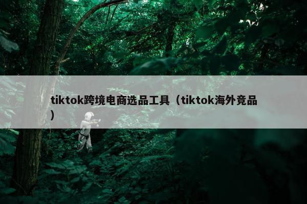 tiktok跨境电商选品工具（tiktok海外竞品）