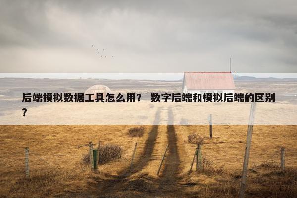 后端模拟数据工具怎么用？ 数字后端和模拟后端的区别？