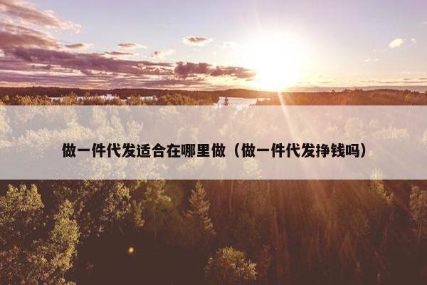 做一件代发适合在哪里做（做一件代发挣钱吗）