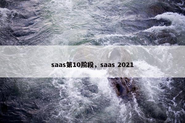 saas第10阶段，saas 2021
