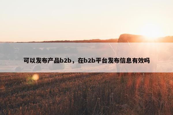 可以发布产品b2b，在b2b平台发布信息有效吗
