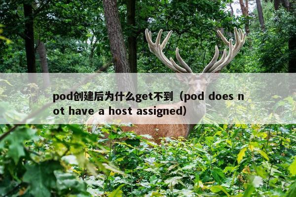 pod创建后为什么get不到（pod does not have a host assigned）