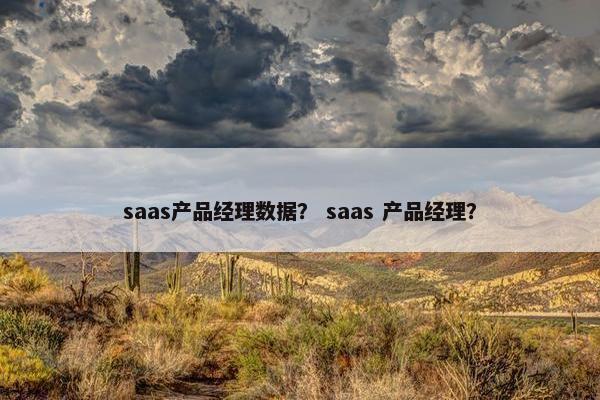 saas产品经理数据？ saas 产品经理？