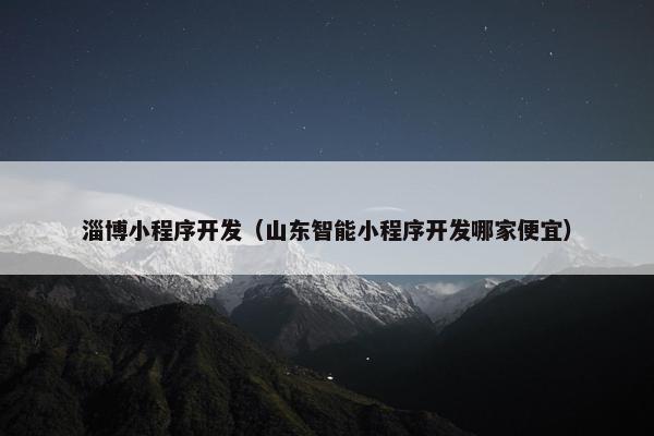 淄博小程序开发（山东智能小程序开发哪家便宜）