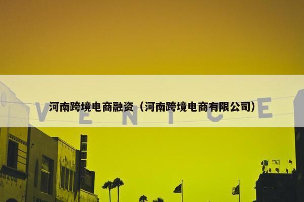 河南跨境电商融资（河南跨境电商有限公司）