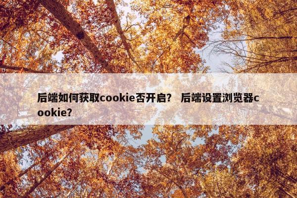 后端如何获取cookie否开启？ 后端设置浏览器cookie？