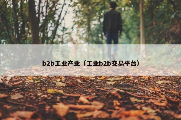 b2b工业产业（工业b2b交易平台）