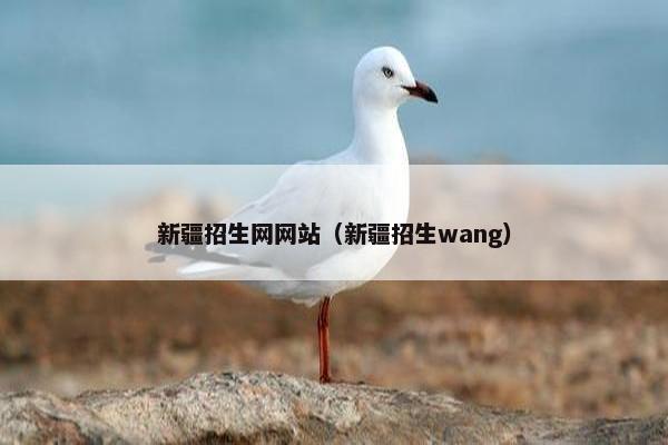 新疆招生网网站（新疆招生wang）